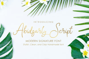 Abidzarly: The Script Typeface That Elevates Your Brand Identity