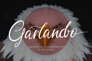 Garlando Typeface Review: Elegant Script for Web Design