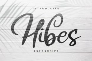 Hibes: A Fun Script Typeface That Brings Life to Brand Identity