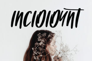 How Incididunt Elevates Campaign Visuals and Brand Recognition