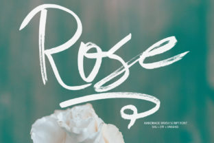 Rose: A Delicate Script Typeface for Modern Editorial Design
