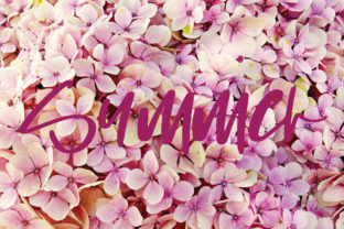 Summer Font: The Script Amp That Brightens Your Campaigns